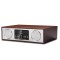 Philips/飞利浦 CN-DTM380/93 无线蓝牙CD组合迷你电脑音响音箱