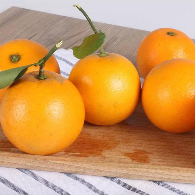 【中华特色】株洲馆 湖南冰糖橙9斤装新鲜橙子皮薄水足图片