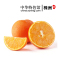 【中国特色】株洲馆 脐橙5斤装 新鲜现摘橙子味甜汁多 华中