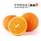 【中国特色】株洲馆 脐橙5斤装 新鲜现摘橙子味甜汁多 华中