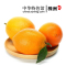 【中国特色】株洲馆 脐橙圆红5斤装 新鲜现摘橙子味甜汁多 华中