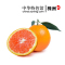 【中国特色】株洲馆 血橙5斤装 新鲜现摘橙子味甜汁多 华中