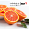 【中国特色】株洲馆 血橙5斤装 新鲜现摘橙子味甜汁多 华中