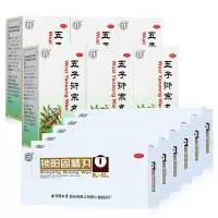 同仁堂五子衍宗丸60g*6盒+同仁堂锁阳固精丸10丸*6盒[疗程装]补肾益精 阳痿不育 遗精早泄 腰痛 尿后余沥