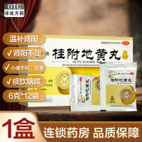 腾药桂附地黄丸(水蜜丸) 6克*12袋 温补肾阳 腰膝痠冷 痰饮喘咳