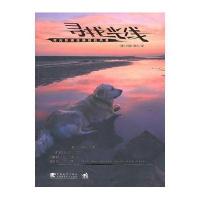 寻找光线：用光影捕捉瞬间的风景(中青雄狮)