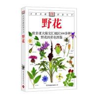 野花：欧非亚大陆交汇地区500多种野花的彩色图鉴—自然珍藏图鉴丛书