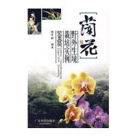 兰花：野外生境 栽培实例 鉴赏