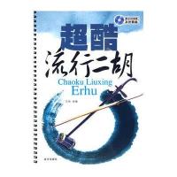 超酷流行二胡