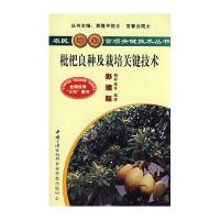 枇杷良种及栽培关键技术