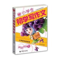 小学生初学写作文(标准注音双色升级版) 波波乌作文