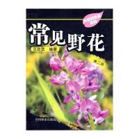 常见野花：大自然珍藏系列
