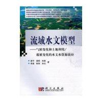 流域水文模型