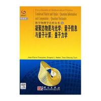数学物理学百科全书(6)凝聚态物理与光学；量子信息与量子计算；量子力学
