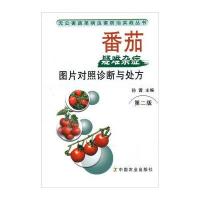 番茄疑难杂症图片对照诊断与处方(第2版)
