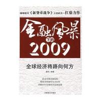 金融风暴下的2009
