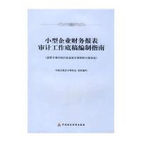 小型企业财务报表审计工作底稿编制指南(适用于审计执行企业会计准则的小型企业)