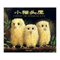 信谊世界精选图画书 小猫头鹰