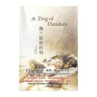 佛兰德斯的狗