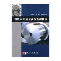 钢板表面质量在线监测技术
