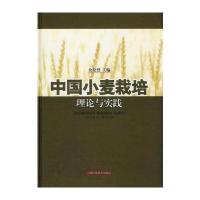 中国小麦栽培理论与实践