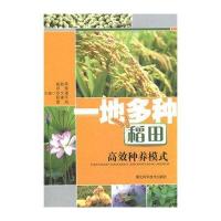 一地多种稻田高效种植模式