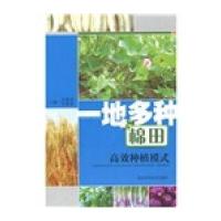 一地多种棉田高效种植模式