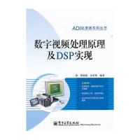 数字视频处理原理及DSP实现