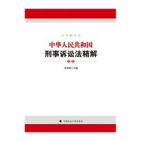 刑事诉讼法精解
