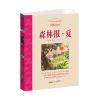 小学生课外阅读经典：森林报 夏(彩绘注音版)