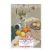 敲门砖色彩风暴系列美术丛书-色彩