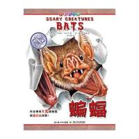 可怕的动物 蝙蝠