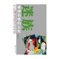 新媒介与青年亚文化丛书--迷族 被神召唤的尘粒