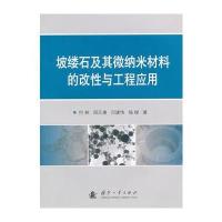 坡缕石及其微纳米材料的改性与工程应用