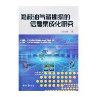 隐蔽油气藏勘探的信息集成化研究