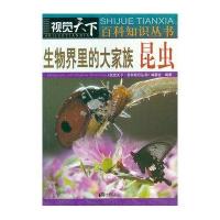 视觉天下：生物界里的大家庭-昆虫