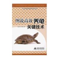 图说高效养龟关键技术