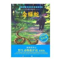 动物小说大王沈石溪品藏书系 生态文学系列：金蟒蛇