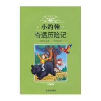 小约翰奇遇历险记