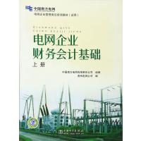 电网企业财务会计基础(上册)