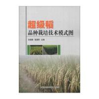 超级稻品种栽培技术模式图