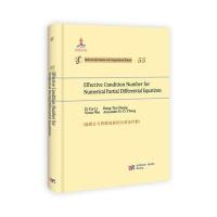 偏微分方程数值解的有效条件数