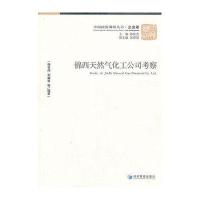 锦西天然气化工公司考察