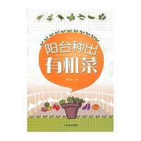 阳台种出有机菜