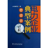 电力企业典型案例评析