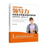 领导力:你就是未来的领导者(发掘领导优势，成就非凡人生 )