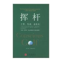 挥杆：工作、生活、高尔夫
