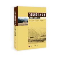 汶川地震山地灾害形成机理与风险控制