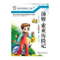 汤姆 索亚历险记