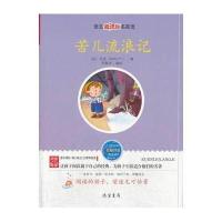 苦儿流浪记—语文新课标名家选